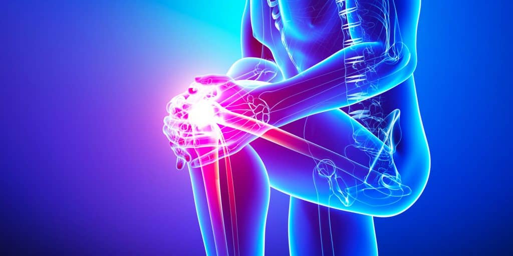 knee-1024x512 knee-1024x512